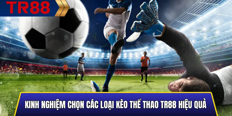 Các Loại Kèo Thể Thao TR88 Phổ Biến & Cách Chơi Chuẩn 6 Kinh nghiệm chọn các loại kèo thể thao TR88 hiệu quả