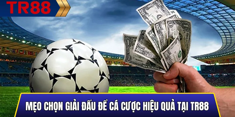Top Giải Đấu Bóng Đá Được Cá Cược Nhiều Nhất Tại TR88 Uy Tín 5 Mẹo Chọn Giải Đấu Để Cá Cược Hiệu Quả Tại TR88