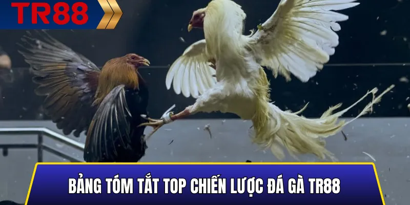 Bảng tóm tắt Top Chiến Lược Đá Gà TR88