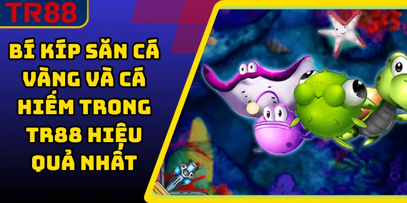 Bí kíp săn cá vàng và cá hiếm trong TR88 hiệu quả nhất 1 Bí kíp săn cá vàng và cá hiếm trong TR88