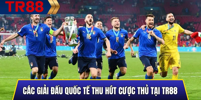 Top Giải Đấu Bóng Đá Được Cá Cược Nhiều Nhất Tại TR88 Uy Tín 3 Minh họa các giải đấu quốc tế thu hút người chơi cược tại TR88
