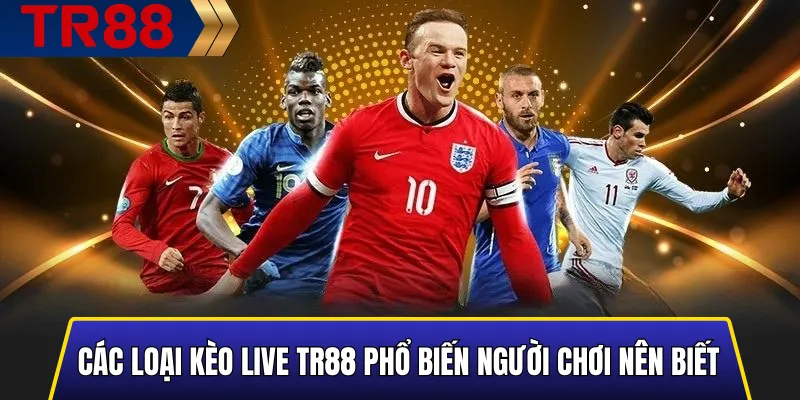 Cược Live TR88 Là Gì? Mẹo Bắt Kèo Tài Xỉu Chuẩn Xác 2025 3 Hình mô tả các loại kèo Live TR88 phổ biến mà người chơi nên biết