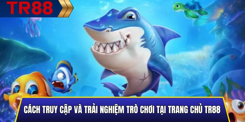Bí kíp săn cá vàng và cá hiếm trong TR88 hiệu quả nhất 4 Cách truy cập và trải nghiệm trò chơi tại trang chủ TR88