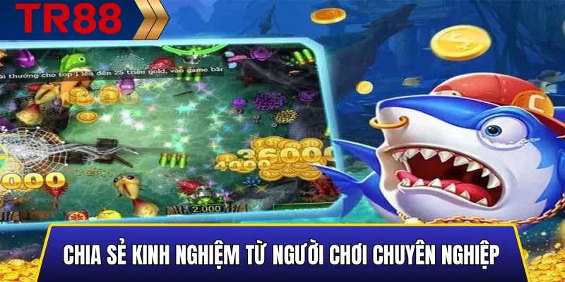 Kinh nghiệm săn boss và nhận thưởng lớn trong TR88 hiệu quả 4 Chia sẻ kinh nghiệm từ người chơi chuyên nghiệp