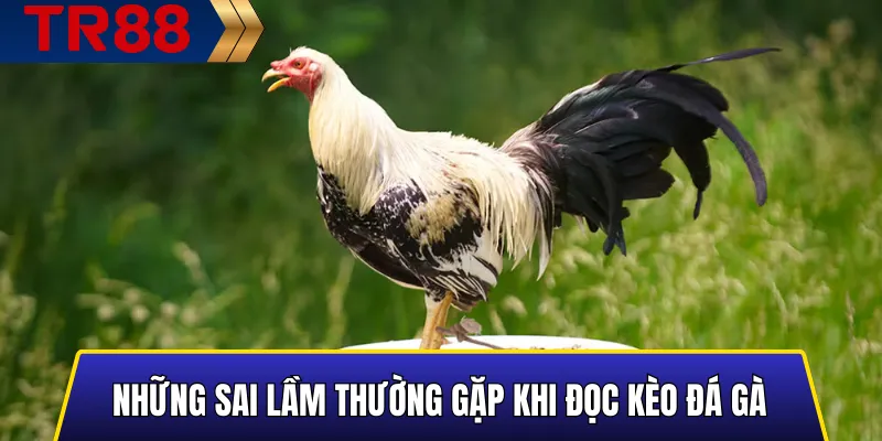 Cách Đọc Kèo Đá Gà TR88 Chuẩn Nhất Cho Người Mới 5 Những sai lầm thường gặp khi đọc kèo đá gà
