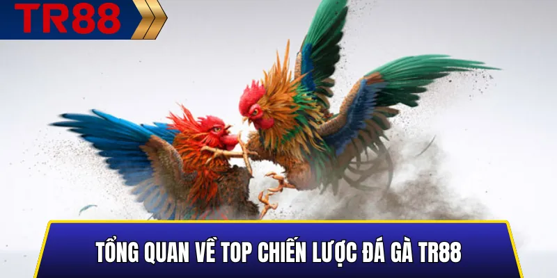 Tóm lược các chiến lược đá gà TR88 phổ biến