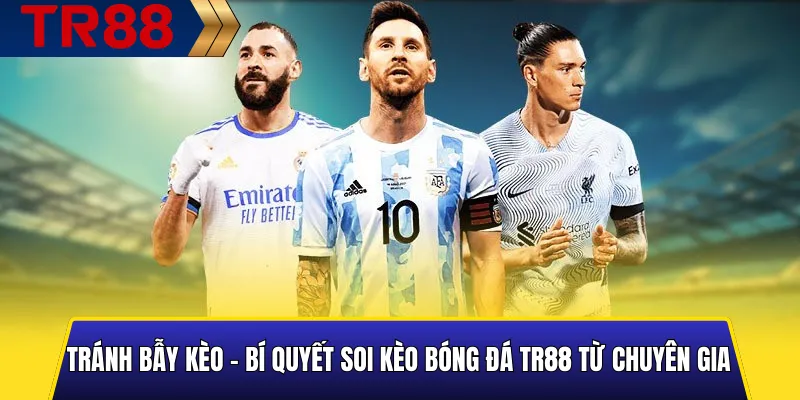 Hình minh họa các mẹo tránh bẫy kèo theo kinh nghiệm soi kèo bóng đá TR88 của chuyên gia