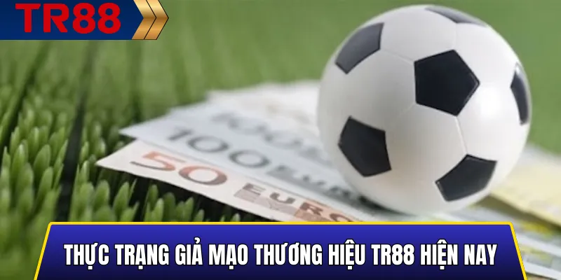 Thực trạng giả mạo thương hiệu TR88 hiện nay